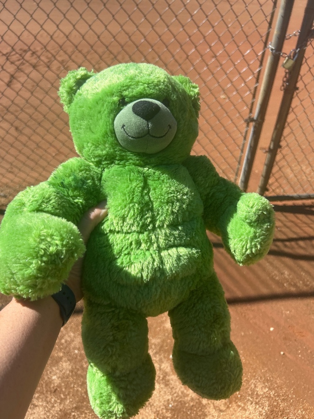 Hulk Build a Bear